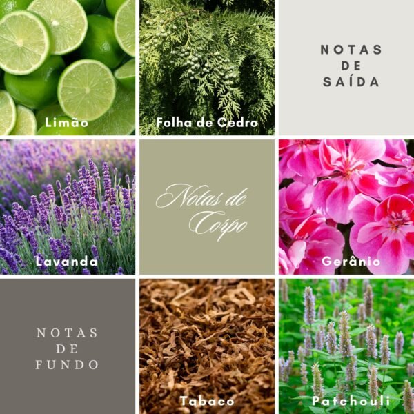 Vela Aromática Madeiras do Oriente Alenrose