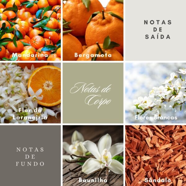 Vela Aromática Âmbar, Palo Santo e Benzoim